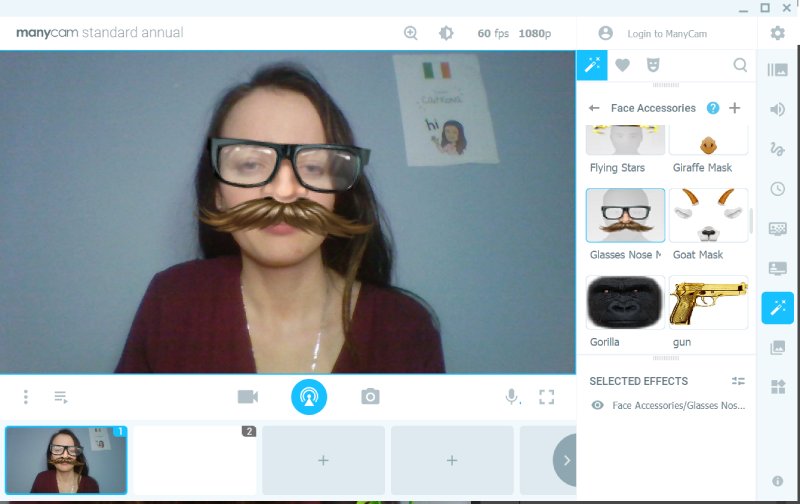 Virtual Face Masks