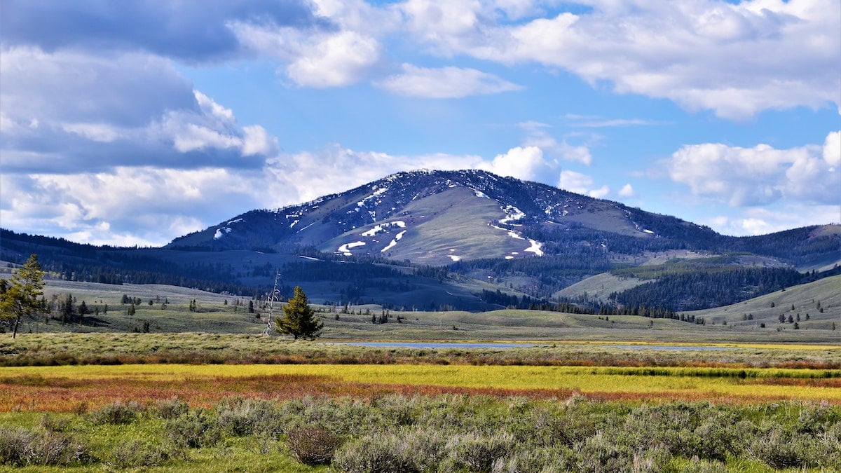 yellowstone national park