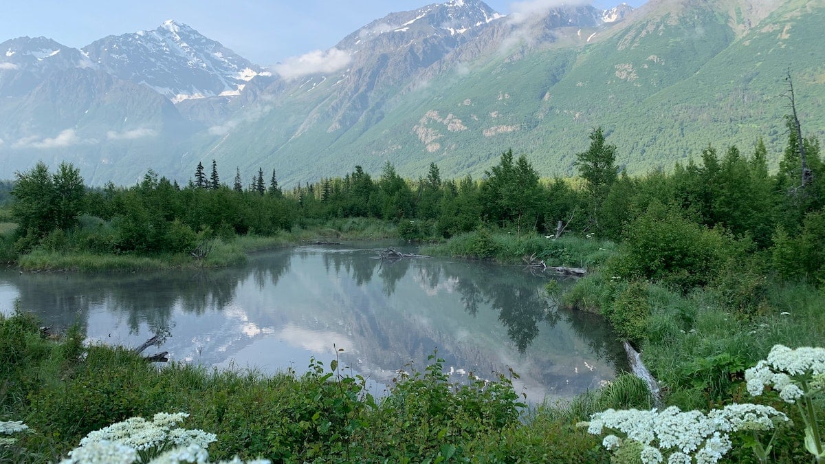 lake and trees in Anchorage alaska