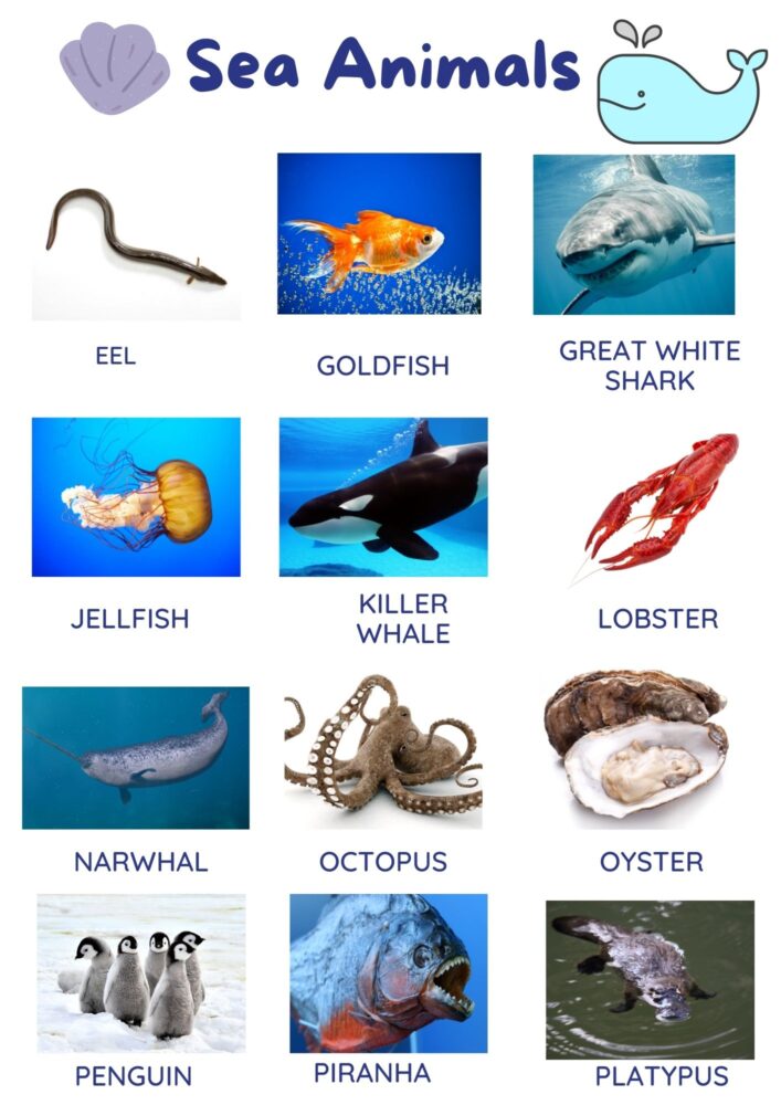Animals in Water