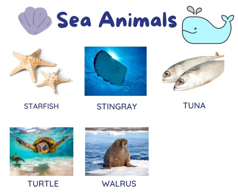 Aquatic Animals List