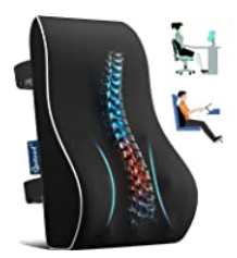 back support