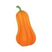 butternut squash