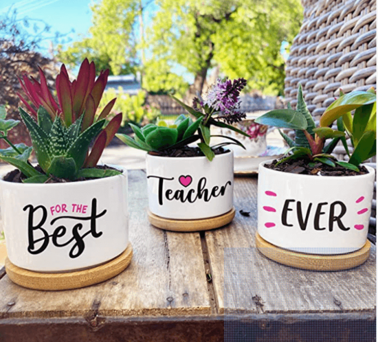 Flower Pots