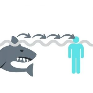 Shark Attack