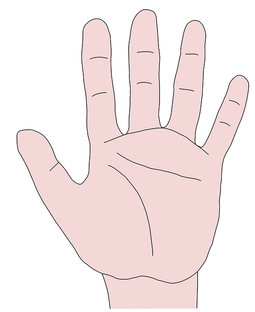 highfive reward