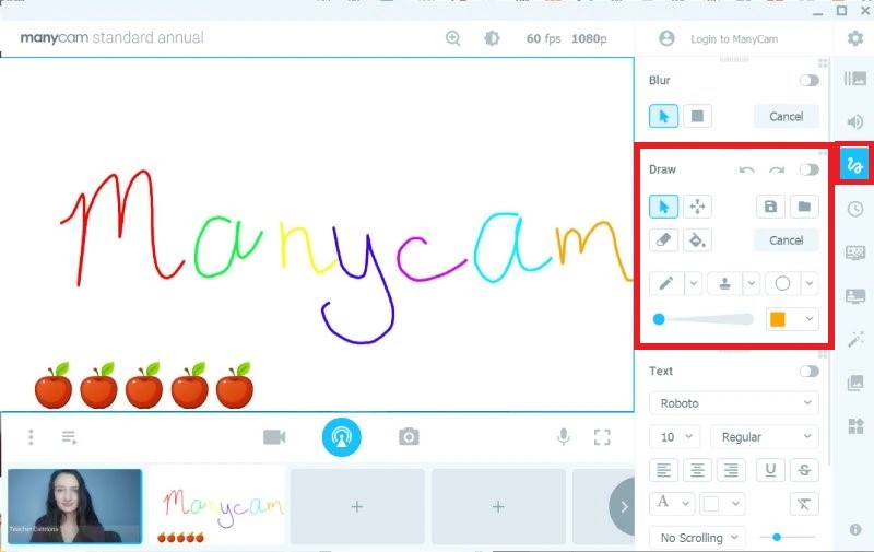 Manycam Drawing