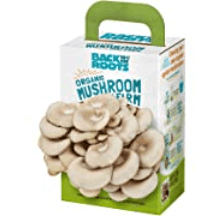 Mushroom Growing Kit