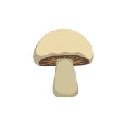 mushroom