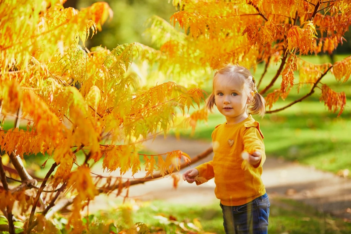 Outdoor Activities for Kids