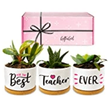Best Teacher Ever Pot Planters