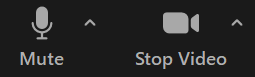 Mute and Stop Video Function Zoom