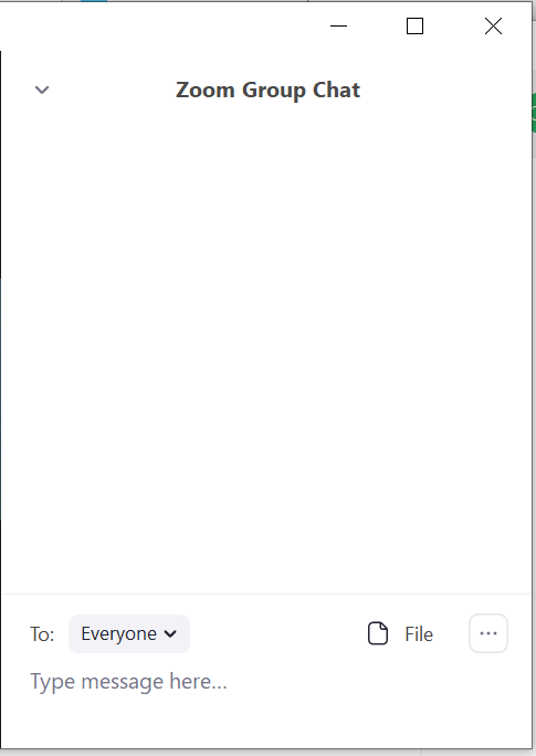 Zoom Chat