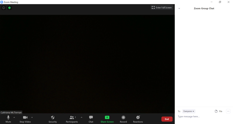 Zoom Meeting Interface Layout