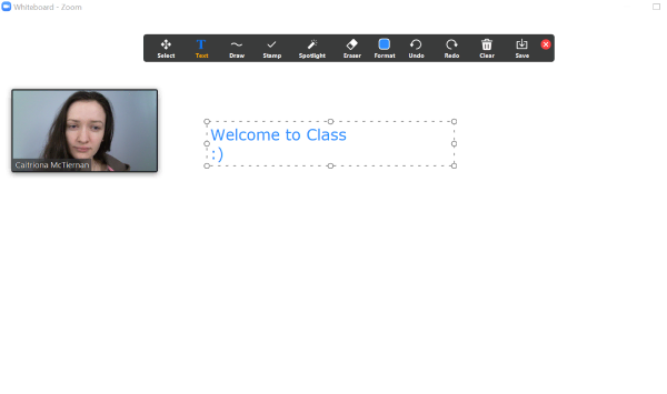 Zoom Whiteboard Functions
